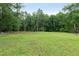 A lush, green grass lawn is situated between tree lines, defining a large yard at 11415 Hutcheson Ferry Rd, Chattahoochee Hills, GA 30268