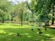 Scenic view of the community pond surrounded by lush greenery and wildlife at 100 Sheridan Dr, Atlanta, GA 30305