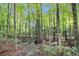 Scenic wooden bridge on a wooded walking trail provides an ideal location for a peaceful nature stroll at 3364 Thornbridge Dr # 0, Powder Springs, GA 30127