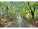 Paved Silver Comet Trail with yellow centerline stretches through a verdant, tree-lined path at 3364 Thornbridge Dr # 0, Powder Springs, GA 30127