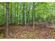 Beautiful wooded land ready for new owners to build their dream home at 1430 Mineral Springs Rd, Hoschton, GA 30548