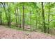 Leaf covered backyard with mature trees, offering a tranquil setting at 3684 Regent Nw Dr, Kennesaw, GA 30144