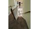 Carpeted stairway with white railings and wooden handrail leads downstairs to the front door at 4305 Evans Farms Dr, Cumming, GA 30040