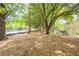 Pet-friendly dog park, featuring trees and a bench at 1074 Peachtree Ne Walk # B404, Atlanta, GA 30309