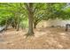 A dog park with mature trees, mulch ground cover, benches and a tall concrete wall at 1074 Peachtree Ne Walk # B404, Atlanta, GA 30309