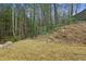 Sloping backyard with grass and trees, offering a private natural setting, and stairs at 3111 Stonegate Sw Dr, Atlanta, GA 30331
