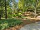 Serene backyard with lush ground cover, stone pathways, and mature trees, offering a peaceful retreat at 4375 Mount Paran Pkwy Nw, Atlanta, GA 30327