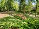 Picturesque backyard featuring mature trees, stone steps, and vibrant ferns, creating a natural oasis at 4375 Mount Paran Pkwy Nw, Atlanta, GA 30327
