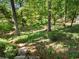 Lush backyard with a stone staircase and diverse greenery, offering a serene and private outdoor space at 4375 Mount Paran Pkwy Nw, Atlanta, GA 30327
