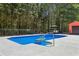 Sparkling in-ground pool with blue water, concrete surround and plenty of privacy at 1424 Brighton, Loganville, GA 30052