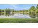 Scenic view of the pond with a fountain, lush greenery, and a distant home at 4445 Vanadium Bend, Cumming, GA 30040