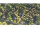 Aerial view of property with in-ground pool surrounded by mature trees and landscaping at 160 Riverbrooke Trl, Covington, GA 30016