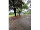 Long driveway leading to house with attached garage surrounded by mature trees and green lawn at 4925 Happy Hollow Rd, Dunwoody, GA 30360