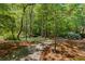 Picturesque walking path through a tranquil, wooded community setting at 6715 Pond Rd, Cumming, GA 30040