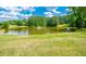 Picturesque pond with a fountain surrounded by lush green grass, providing a serene and scenic view at 2049 Mclain Nw Rd, Acworth, GA 30101