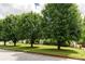 Landscaped front yard of a residence with mature trees and a well-maintained lawn at 68 Paradise Pointe, Douglasville, GA 30134