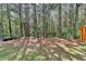 Picturesque wooded backyard with lush greenery providing a serene and private atmosphere at 5870 Shiloh Woods Dr, Cumming, GA 30040