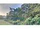 Wooded backyard with a view of lush green trees and foliage at 2352 Benson Rdg, Lithonia, GA 30058