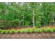 Wood fence along the tree lined backyard creating a private backyard perfect for relaxing at 131 Forsyth Park Ln, Woodstock, GA 30188