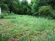 Overgrown grass and foliage in the backyard at 244 Hilltop Sw Dr, Atlanta, GA 30315