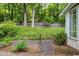 Backyard with lush groundcover and wooded fence line at 245 Scotch Pine Ct, Alpharetta, GA 30022