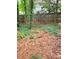 Overgrown backyard featuring a tree-lined fence and natural foliage at 215 Boca Ciega Ct, Alpharetta, GA 30022