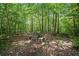 Wooded backyard featuring a fire pit surrounded by chairs at 390 Scott Farm Dr, Powder Springs, GA 30127