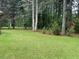 Large backyard with a well-maintained lawn, mature trees and plenty of privacy at 300 Gaelic Way, Tyrone, GA 30290