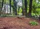 Tranquil backyard setting with a stone bench nestled among mature trees and greenery at 330 Broad Leaf Ct, Johns Creek, GA 30022