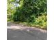 Street view of overgrown property showcasing the lot's potential for landscaping and new construction at 2637 Johnson St, Lithonia, GA 30058