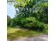 Street view of overgrown property showcasing the lot's potential for landscaping and new construction at 2637 Johnson St, Lithonia, GA 30058