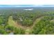 Aerial view featuring mature trees and a golf course providing a serene and recreational backdrop to the community at 7370 N Mitchell Ct, Villa Rica, GA 30180