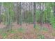 Heavily wooded lot, offering privacy and a natural habitat at 3600 Anglin Rd, Loganville, GA 30052