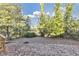Backyard shows mature trees and foliage at 1571 Boulevard Lorraine Sw, Atlanta, GA 30311