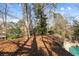 Sloping backyard with leafy ground cover offers potential for landscaping or natural enjoyment at 6300 Mountain Brook Ln, Atlanta, GA 30328