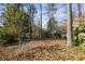 Expansive backyard with mature trees and fallen leaves offers natural privacy and a tranquil setting at 6300 Mountain Brook Ln, Atlanta, GA 30328