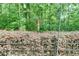Wrought iron fence with leafy hedges and whimsical garden sculpture at 7520 Ledgewood Way, Suwanee, GA 30024