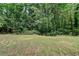 Picture of the large backyard with lush greenery and trees at 4278 Trotters Ln, Auburn, GA 30011