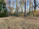 Large backyard surrounded by trees for privacy at 2240 Spalding Dr, Marietta, GA 30062