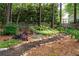 Backyard with lush vegetation, trees, and landscape lighting at 220 Galesburg Dr, Lawrenceville, GA 30044