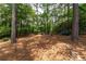 Large, wooded backyard with mature trees at 220 Galesburg Dr, Lawrenceville, GA 30044