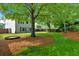 Spacious backyard with lush lawn and mature trees offers privacy and natural beauty at 813 Poplar Ter, Canton, GA 30115