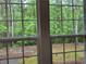 Scenic view of a lush green yard through large, sunlit windows at 2107 Hailston Dr, Duluth, GA 30097