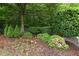 Landscaped residential lot featuring beautiful trees, shrubs, ground cover and pink flowers at 989 Brownstone Ln # 16, Marietta, GA 30008
