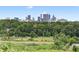 Scenic view of the Atlanta skyline from behind a lush tree line at 1195 Milton Se Ter # 1407, Atlanta, GA 30315