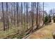 Landscaped backyard with trees at 2006 Towneship Trl, Roswell, GA 30075
