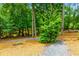 Gravel path in the backyard with a green pine tree and surrounded by beautiful greenery at 2006 Towneship Trl, Roswell, GA 30075