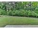 Lush backyard features healthy green grass and mature border trees for privacy at 2505 Whistler Way Ne, Lawrenceville, GA 30043