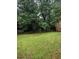 View of the backyard featuring mature trees offering plenty of shade for outdoor activities at 604 Pepperwood Ln, Stone Mountain, GA 30087