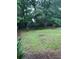 View of the spacious backyard showcasing vibrant greenery, mature trees, and healthy lawn at 604 Pepperwood Ln, Stone Mountain, GA 30087